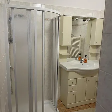 Apartment 207 Deluxe *