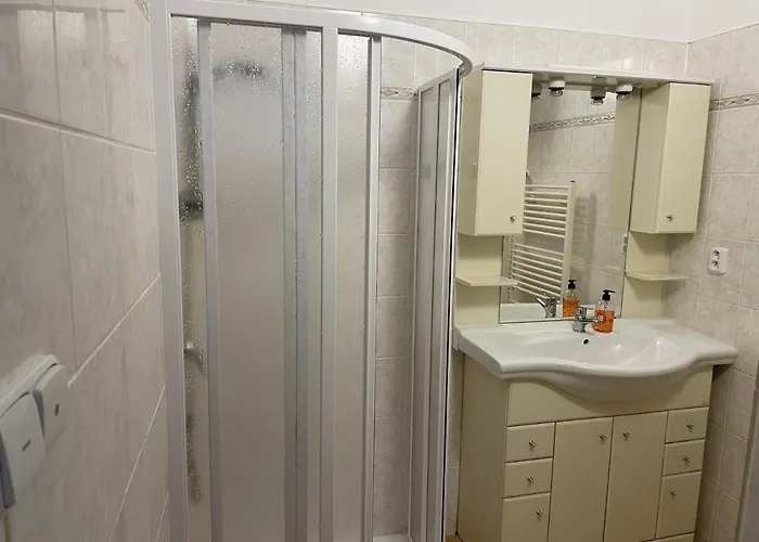 207 Deluxe Apartment Netolice